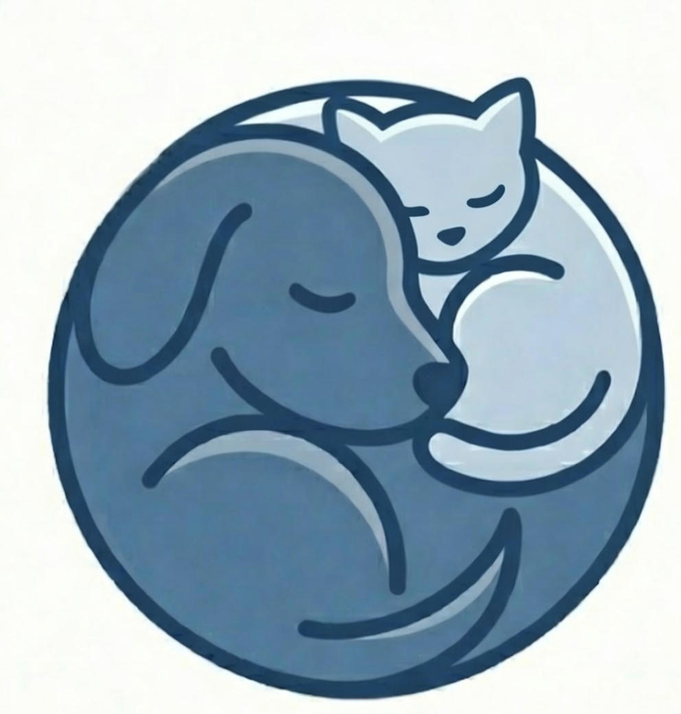 Placa NexZoo con código QR y NFC para identificación de mascotas