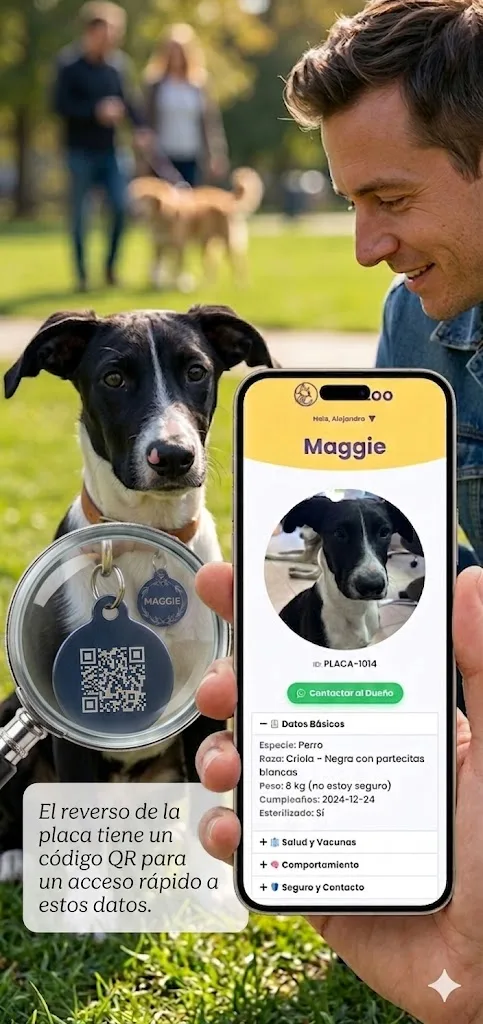 Placa de identificación para perro con QR - Image 2