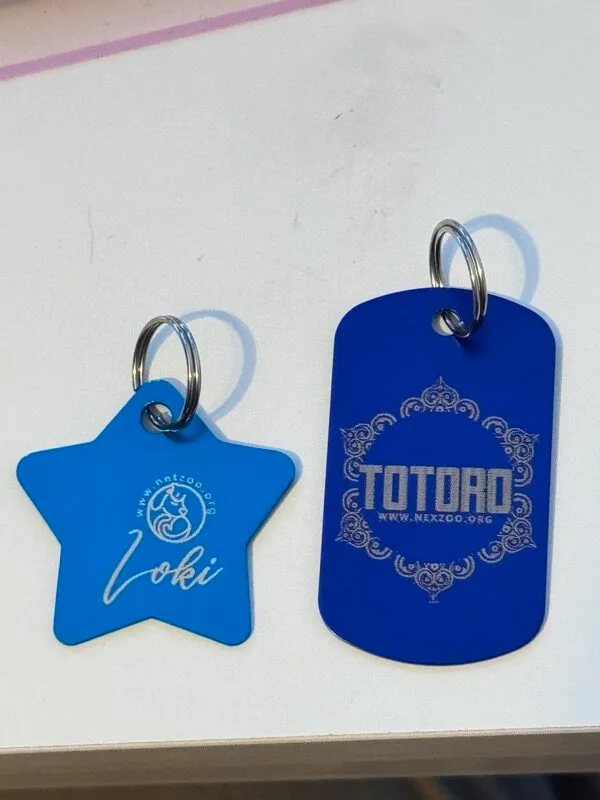 Placas para perros personalizadas Loki y Totoro en distintos formatos