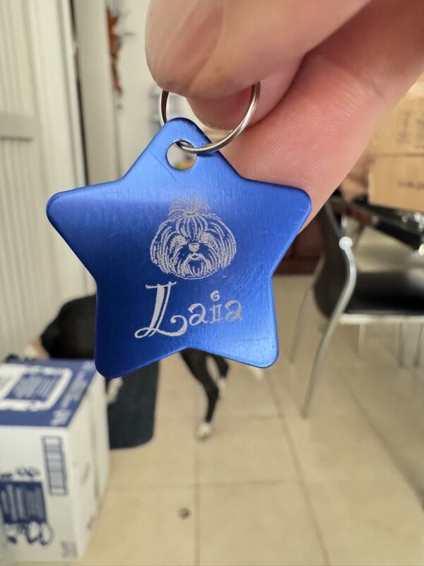 Placa estrella azul con retrato de Shih Tzu grabado — Laia