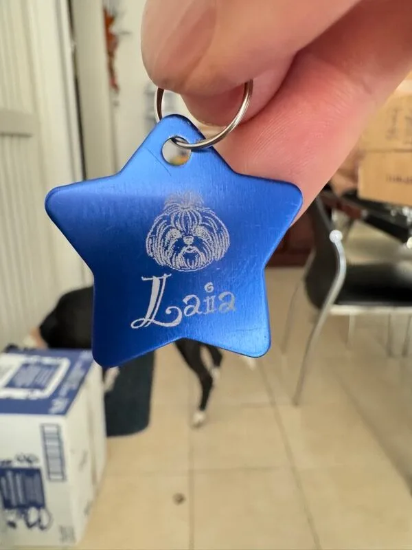Placas para perros personalizadas: estrella azul con el retrato de Laia, una Shih Tzu