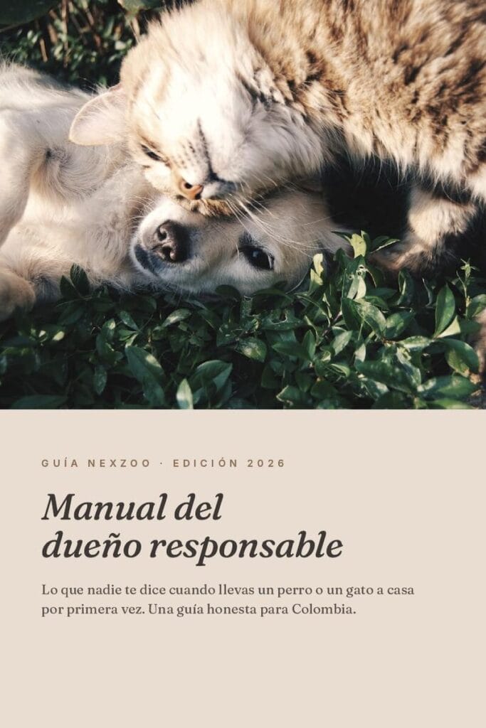 Manual del dueño responsable — Guía para tu primer perro o gato