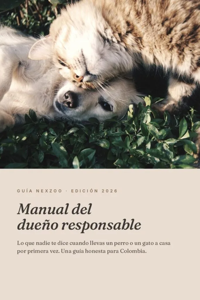 Manual del dueño responsable — Guía para tu primer perro o gato