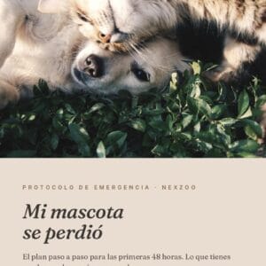 Plan de emergencia: kit imprimible si tu mascota se pierde