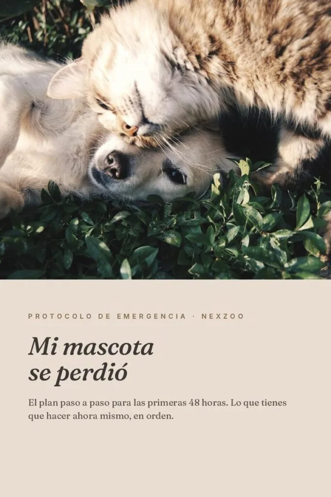 Plan de emergencia: kit imprimible si tu mascota se pierde