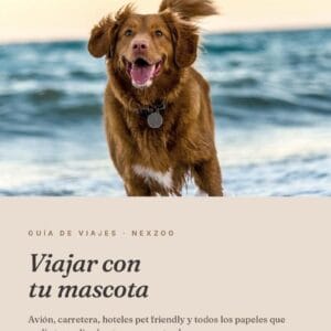 Viajar con tu mascota — Guía completa Colombia y exterior