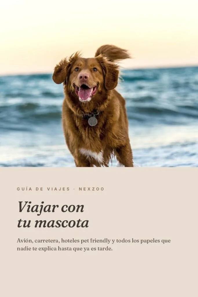 Viajar con tu mascota — Guía completa Colombia y exterior