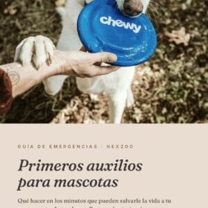 Primeros auxilios para perros y gatos — Guía rápida PDF