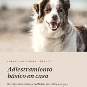 Adiestramiento básico para perros — Sin gritos, sin castigos