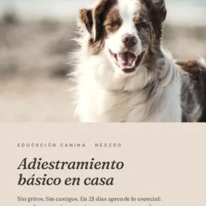 Adiestramiento básico para perros — Sin gritos, sin castigos
