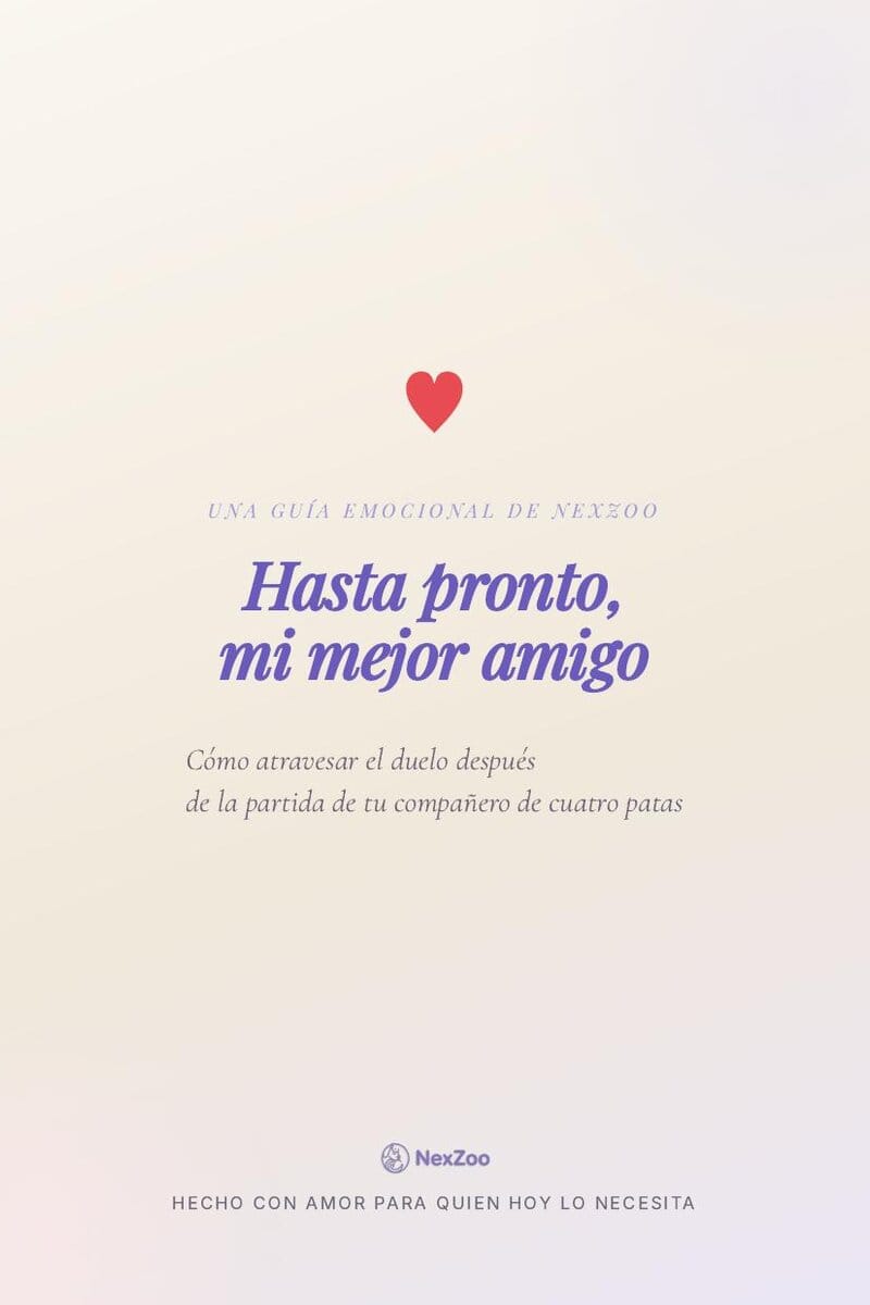Hasta pronto, mi mejor amigo — Guía de duelo por una mascota