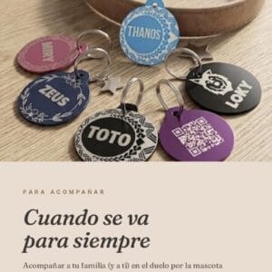 Cuando se va: duelo familiar por una mascota — Guía con niños