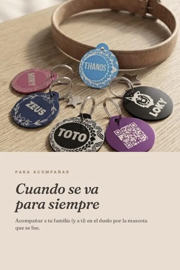 Cuando se va: duelo familiar por una mascota — Guía con niños
