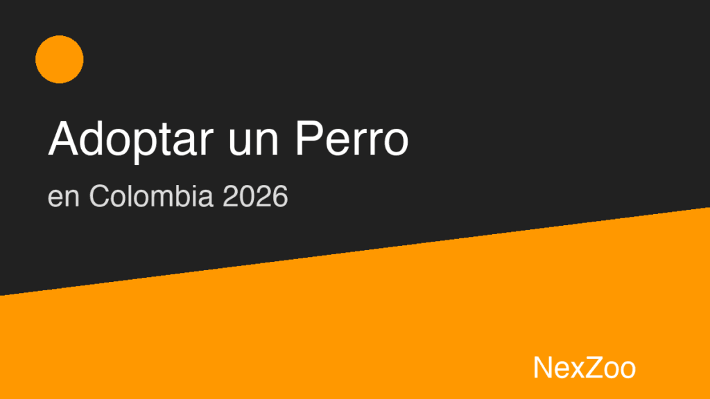 Cómo adoptar un perro paso a paso en Colombia