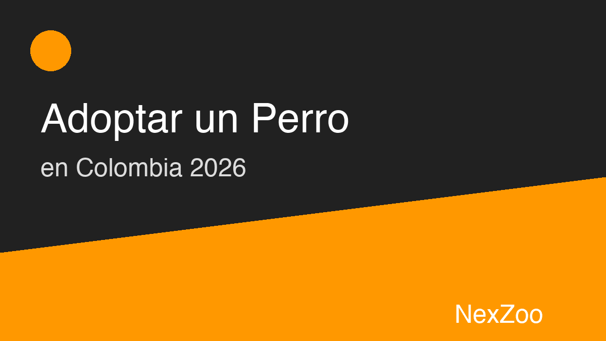 Cómo adoptar un perro paso a paso en Colombia