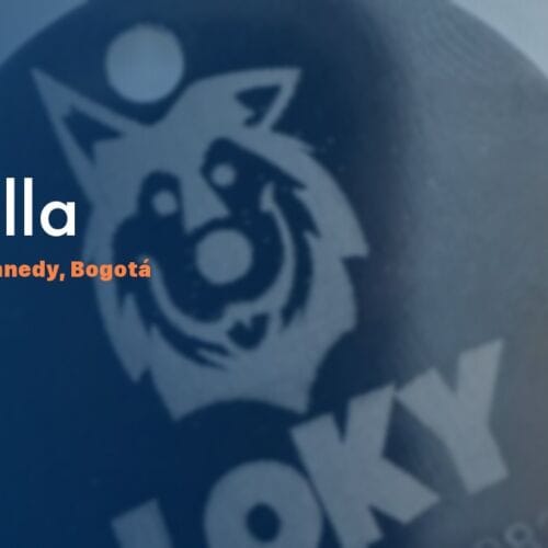 Placa QR para mascotas en Castilla, Kennedy — NexZoo