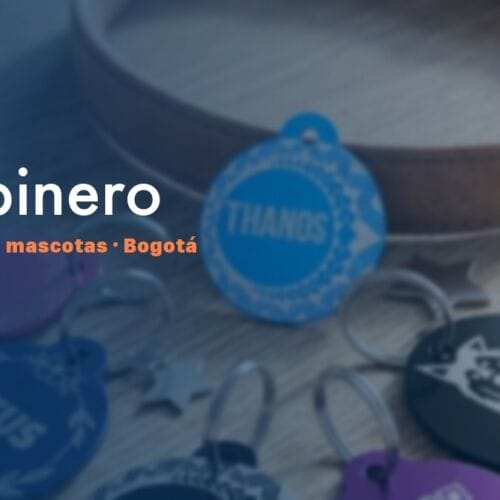 Placa QR para mascotas en Chapinero, Bogotá — NexZoo