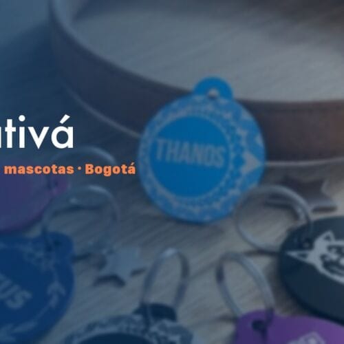 Placa QR para mascotas en Engativá, Bogotá — NexZoo