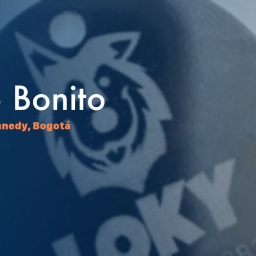 Placa QR para mascotas en Patio Bonito, Kennedy — NexZoo