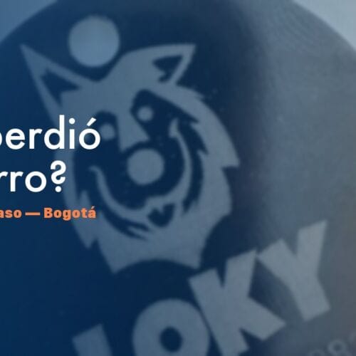 Qué hacer si tu perro se pierde en Bogotá — NexZoo