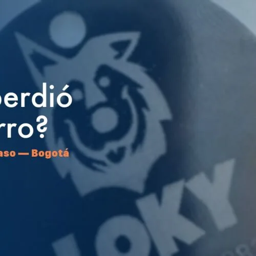 Qué hacer si tu perro se pierde en Bogotá — NexZoo