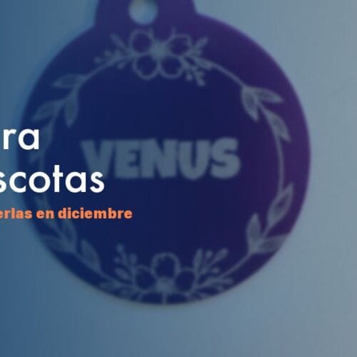 Pólvora y perros en Bogotá — Cómo proteger en diciembre NexZoo