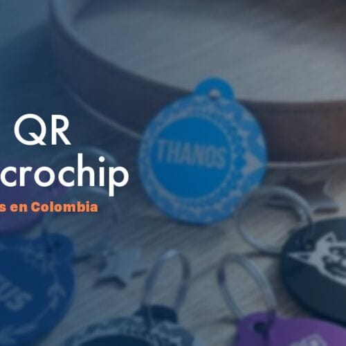Placa QR vs Microchip — Guía Colombia 2026 NexZoo