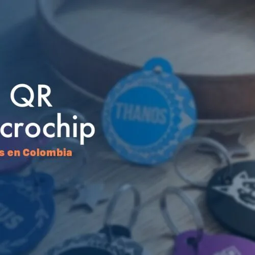 Placa QR vs Microchip — Guía Colombia 2026 NexZoo