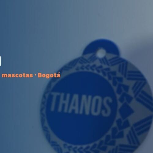 Placa QR para mascotas en Suba, Bogotá — NexZoo