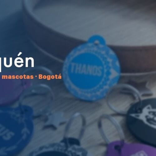 Placa QR para mascotas en Usaquén, Bogotá — NexZoo