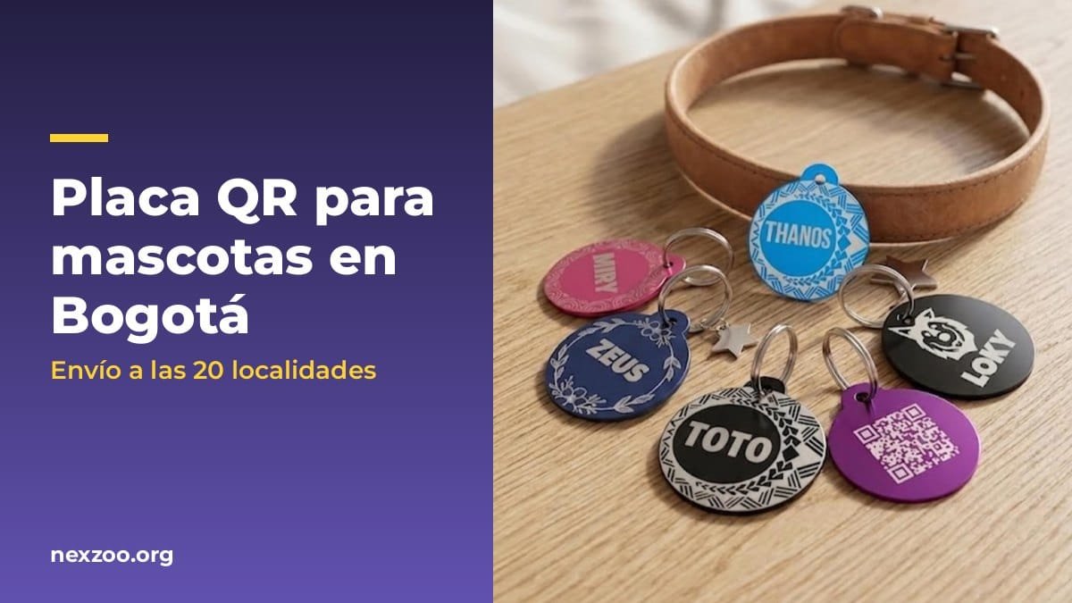 Placas para perros en Bogotá con QR junto a un collar de cuero