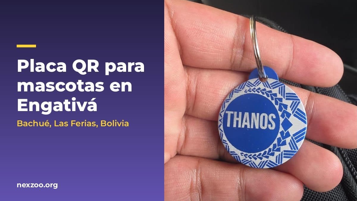 Placa QR NexZoo azul con el nombre Thanos en la mano