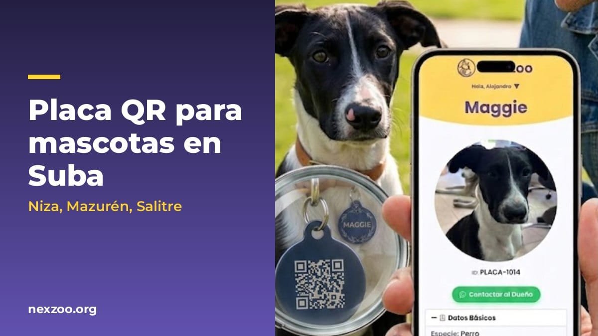 Perro con placa QR NexZoo y su perfil abierto en el celular