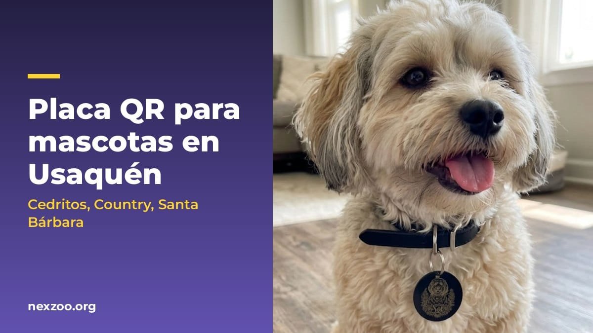 Perro con su placa QR NexZoo en el collar, en Usaquén
