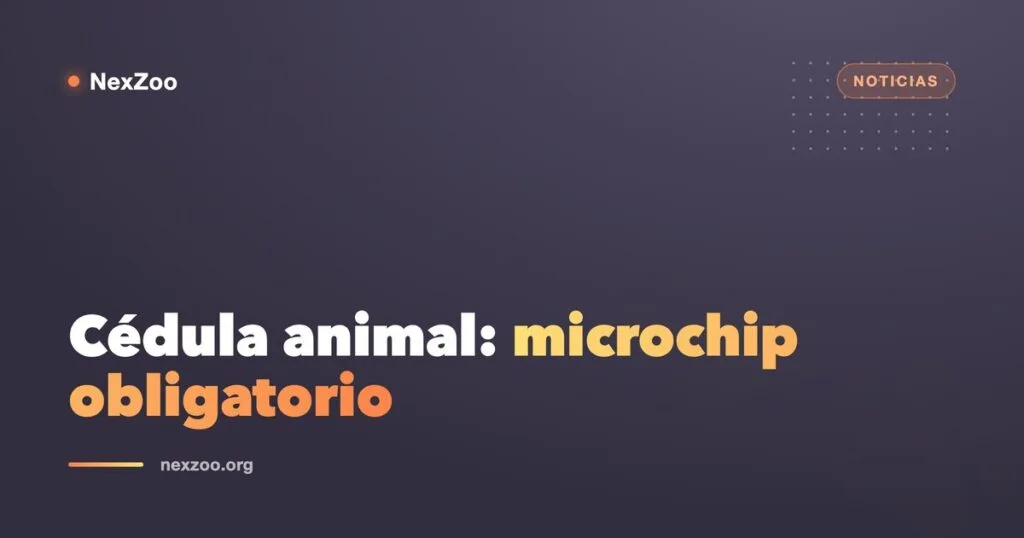Perro y gato junto a un collar con placa de identificación y la silueta de un microchip, ilustrando el proyecto de cédula animal en Colombia