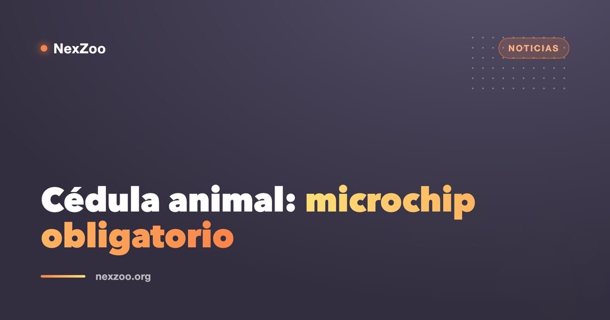 Perro y gato junto a un collar con placa de identificación y la silueta de un microchip, ilustrando el proyecto de cédula animal en Colombia