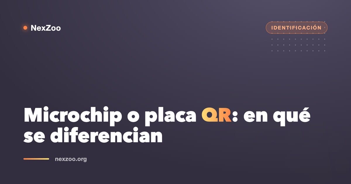 Diferencia entre microchip y placa QR para mascotas