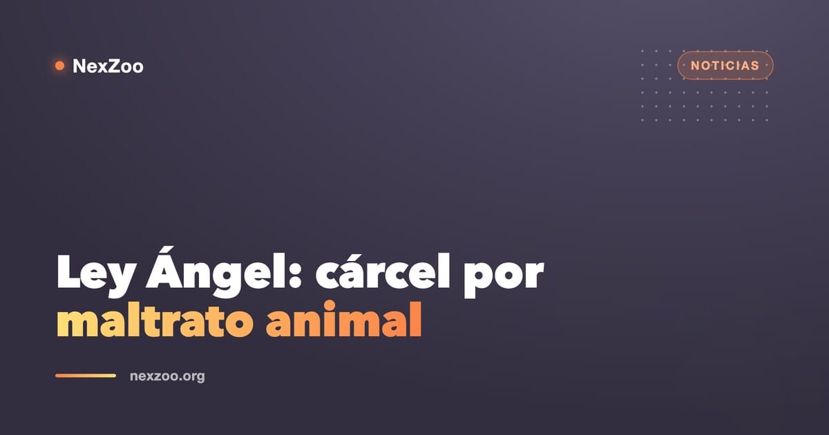Perro y gato protegidos junto a la balanza de la justicia, símbolo de las nuevas leyes de protección animal en Colombia