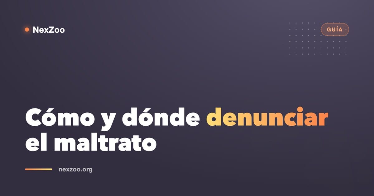 Cómo y dónde denunciar el maltrato animal en Colombia