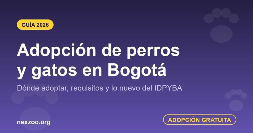 Adopción de perros y gatos en Bogotá — guía 2026 con requisitos y lugares
