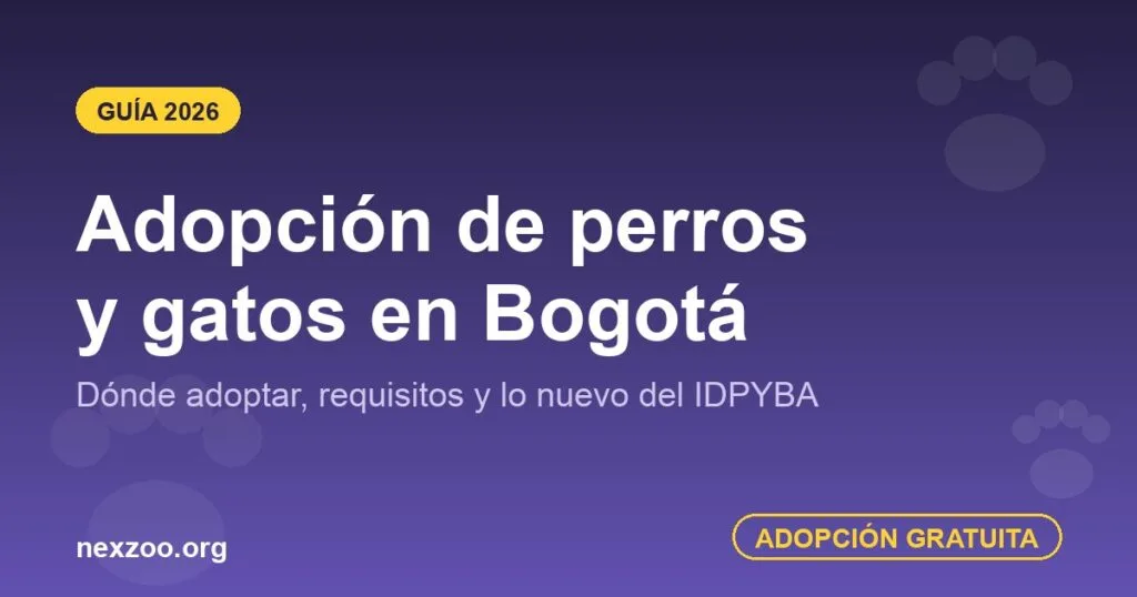 Adopción de perros y gatos en Bogotá — guía 2026 con requisitos y lugares