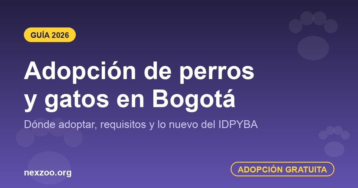 Adopción de perros y gatos en Bogotá — guía 2026 con requisitos y lugares