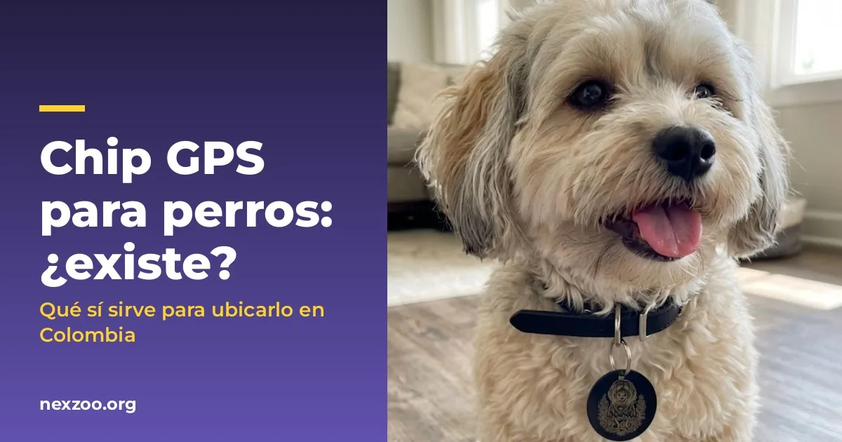 Chip GPS para perros: qué existe y qué sí funciona en Colombia
