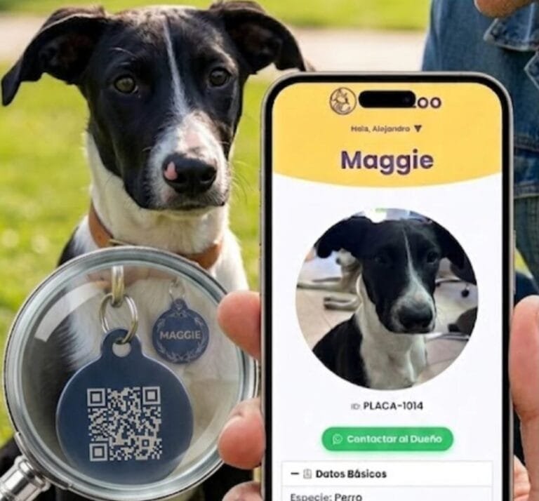 Placas para mascotas con QR: el perfil se abre en el celular de quien la escanea