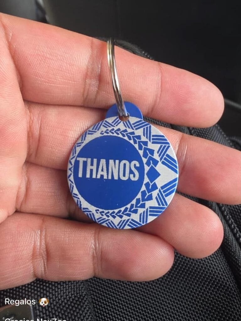 Placas para mascotas: la de Thanos, azul, en la mano de su dueño