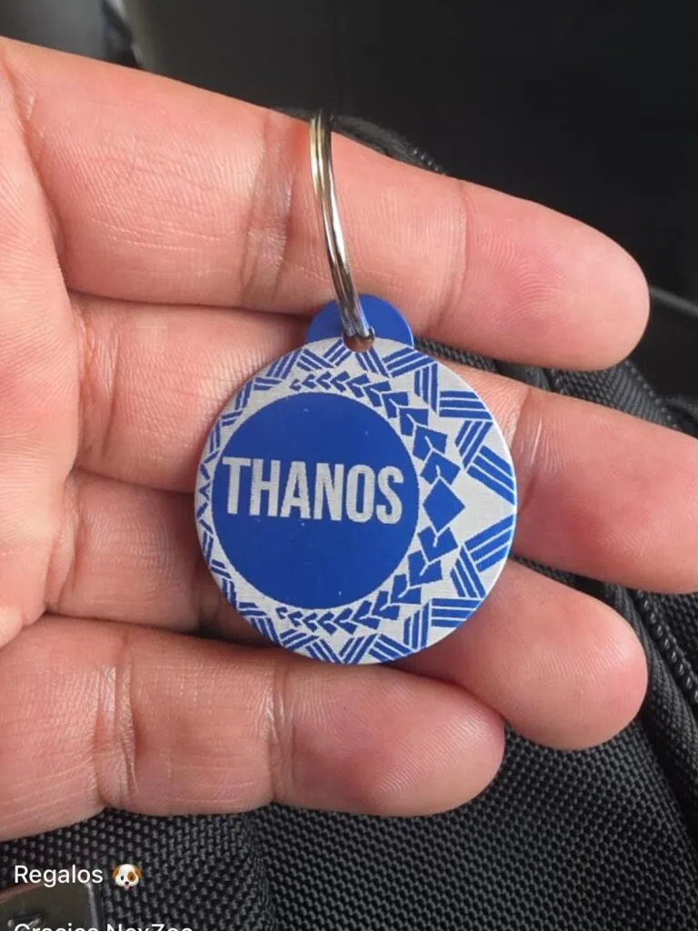 Placas para perros personalizadas: la de Thanos, redonda y azul, en la mano de su dueño