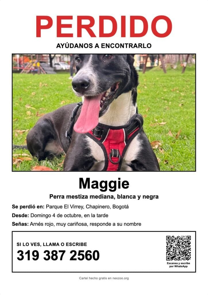 Cartel de perro perdido para imprimir en A4 con foto, nombre, zona donde se perdió y teléfono en grande